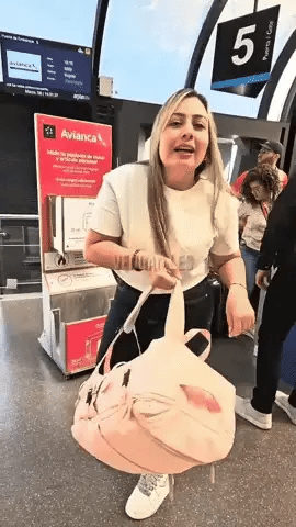 Maleta Viajera - Ordenalo Co